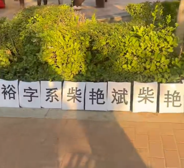 原文相关图片3